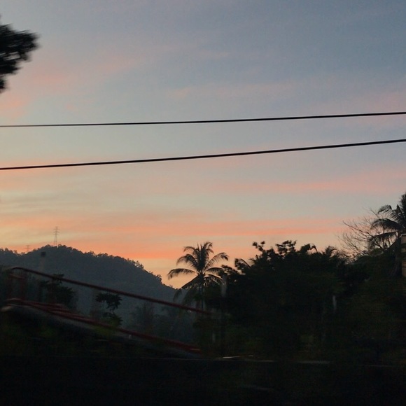 Meet your Posher, Taylor - Picture 1 of 1